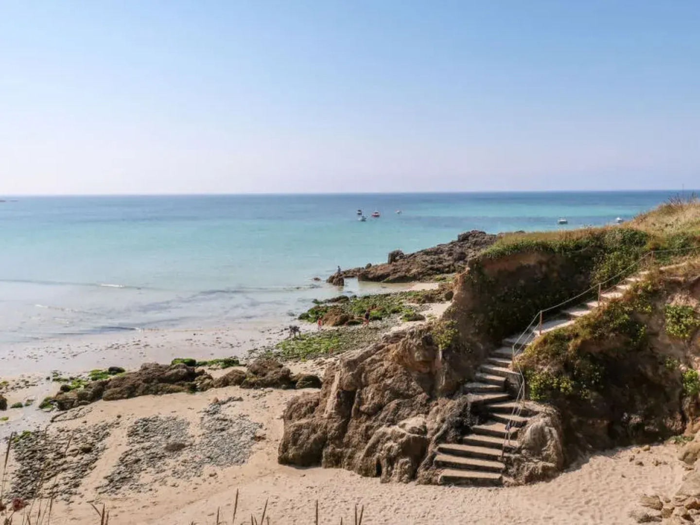 Les Hortensias (PGF100)