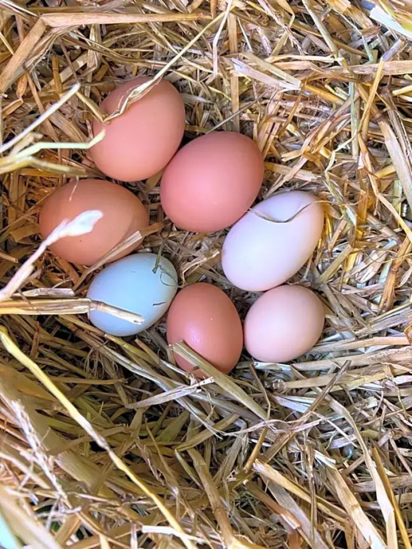 Valentia View (Adults Only)