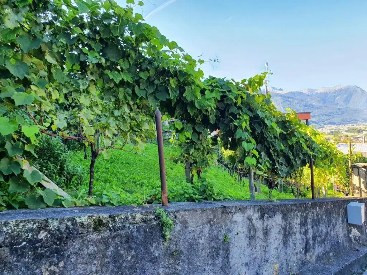 La Casa tra le Vigne