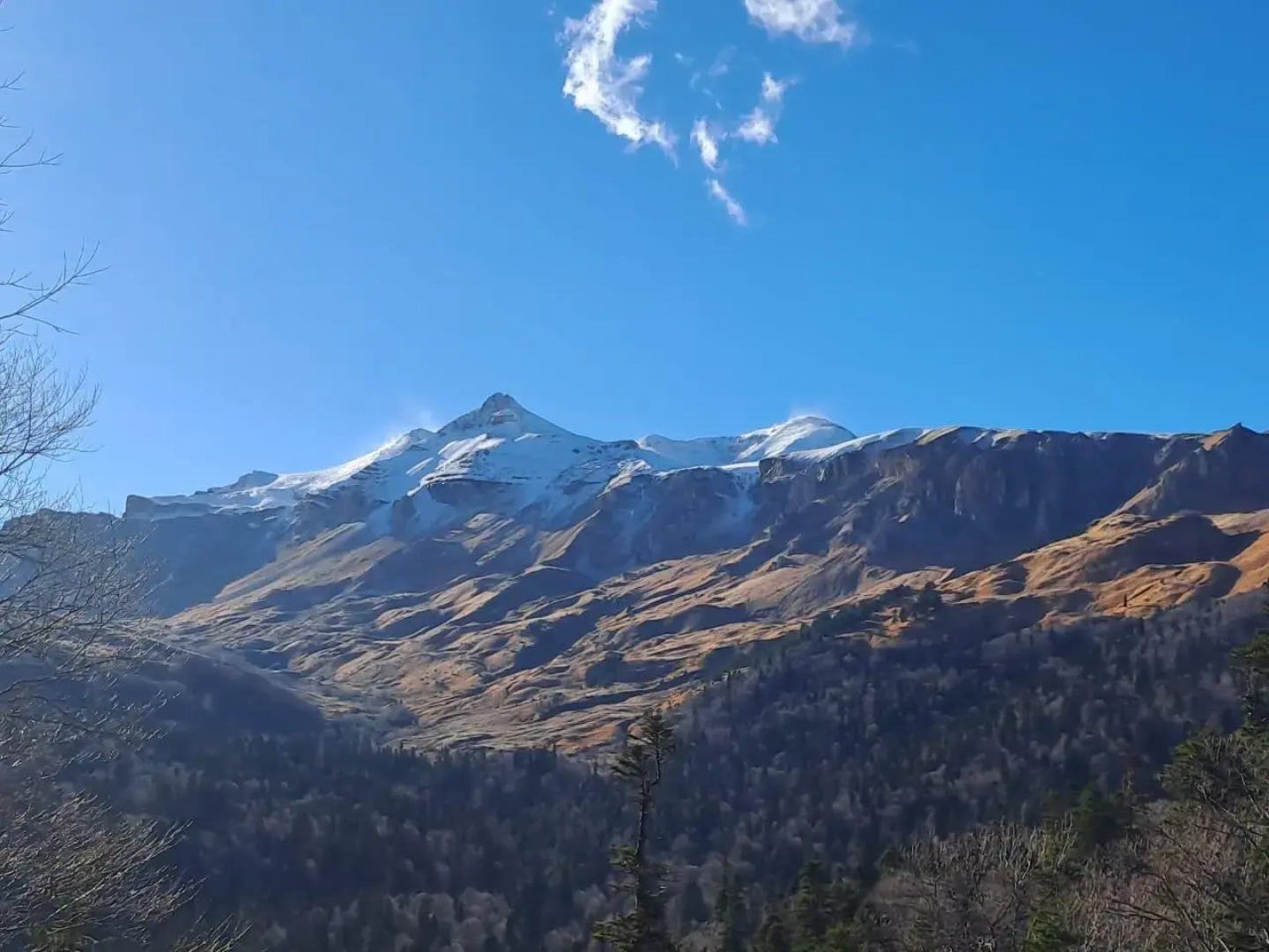 Яворова Park (Парк)