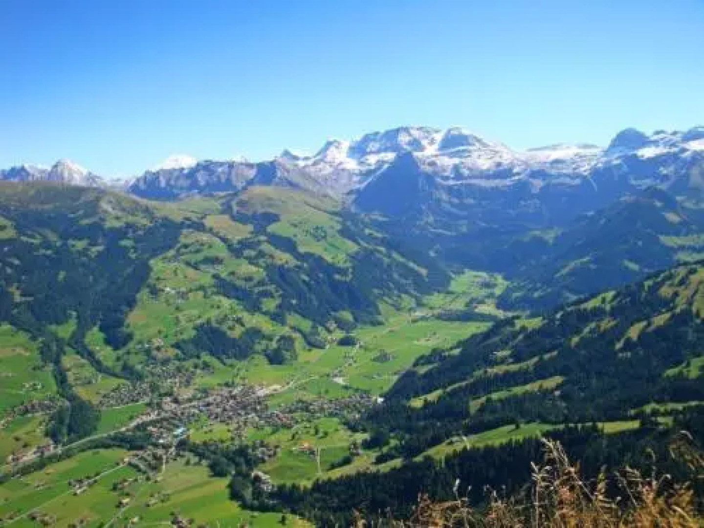 Apartment Kronenplatz 7 # 3