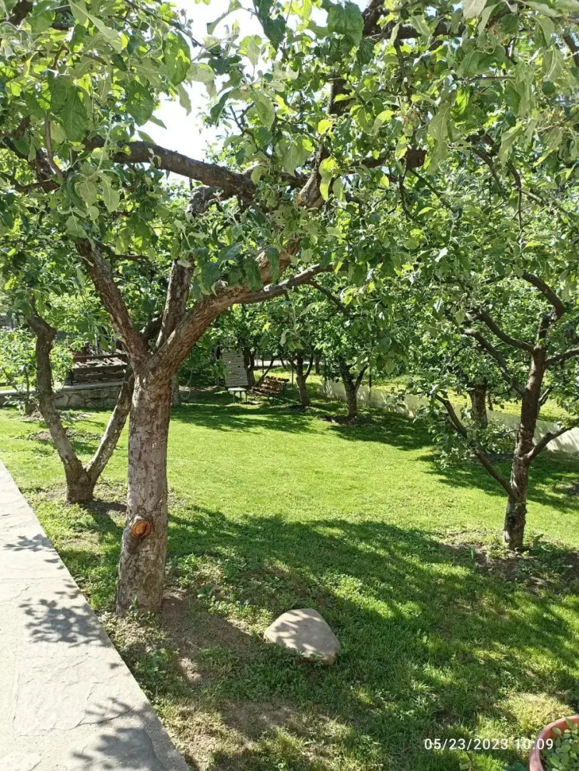 Vila Slanic