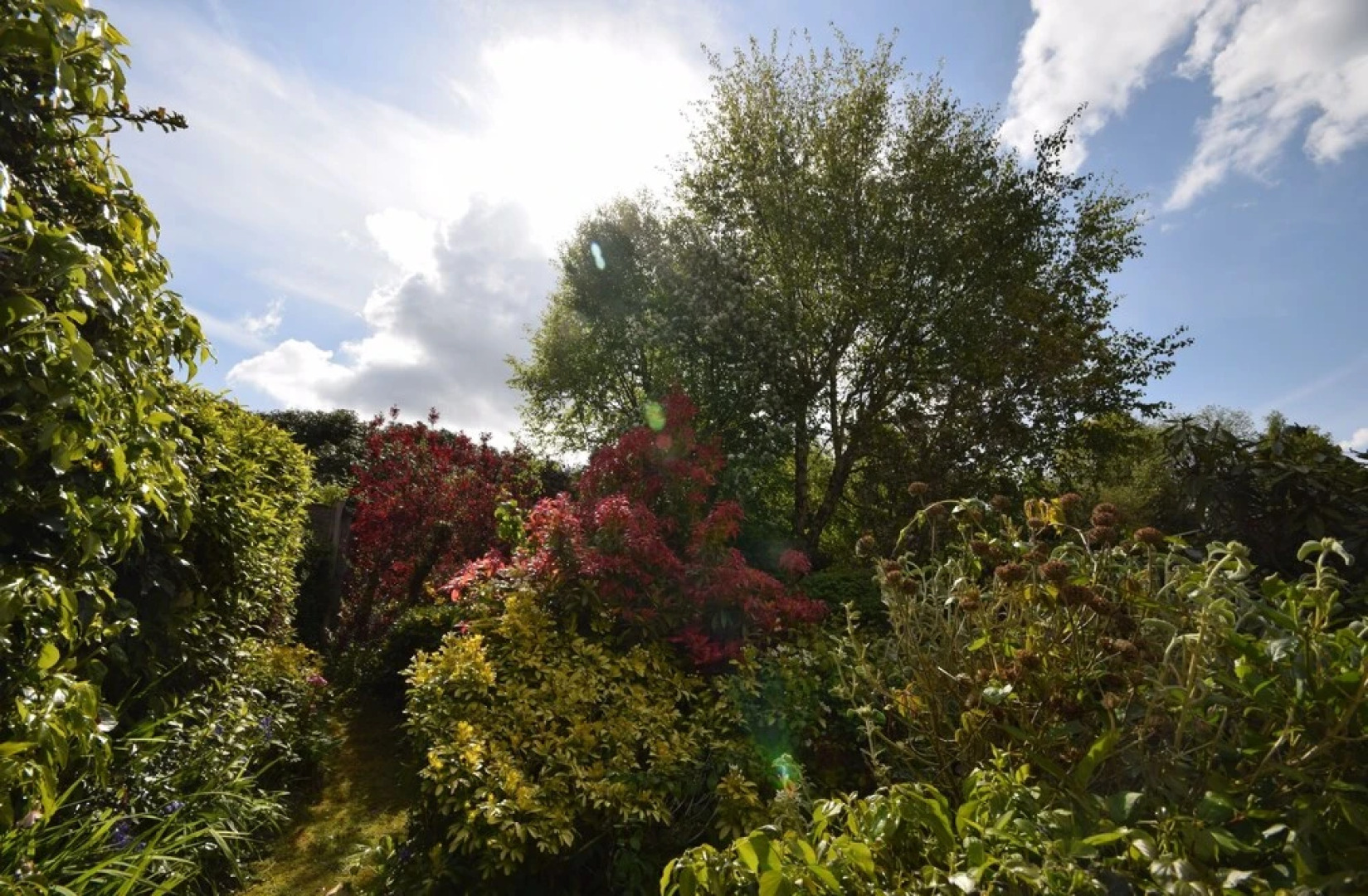 Birch End, Midhurst 91138