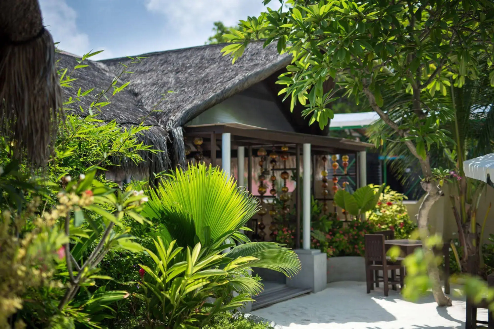 Tropical Village