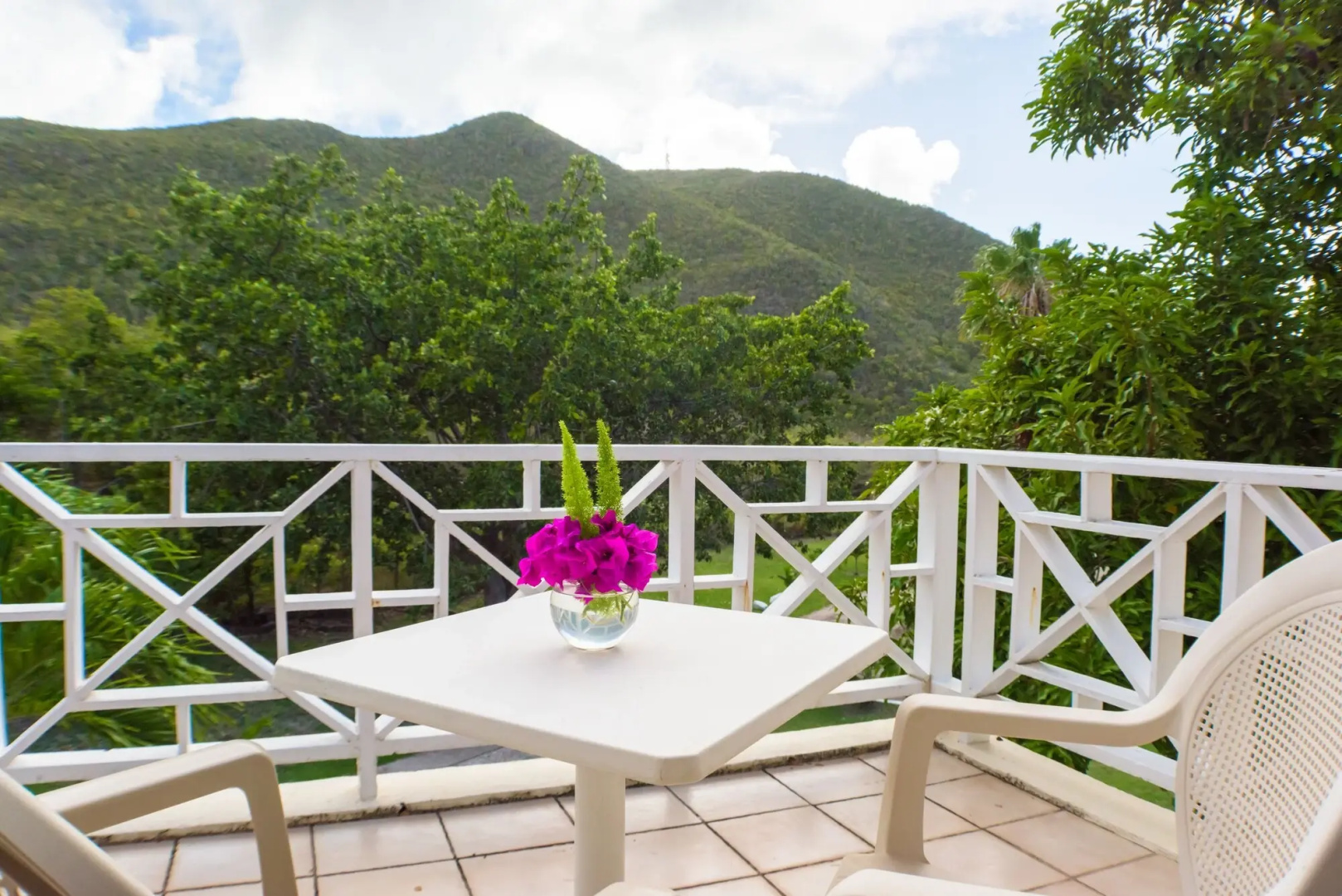Mount Nevis Hotel
