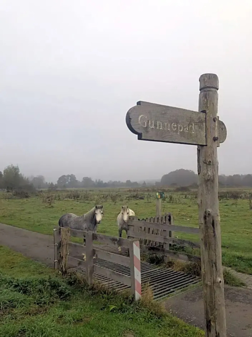 Schaap8 Bed en Breakfast