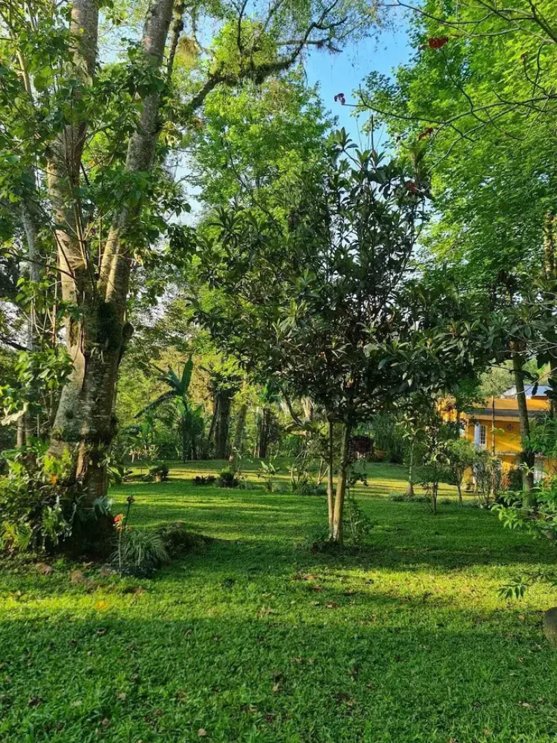 Jardin de los Anturios, Xico