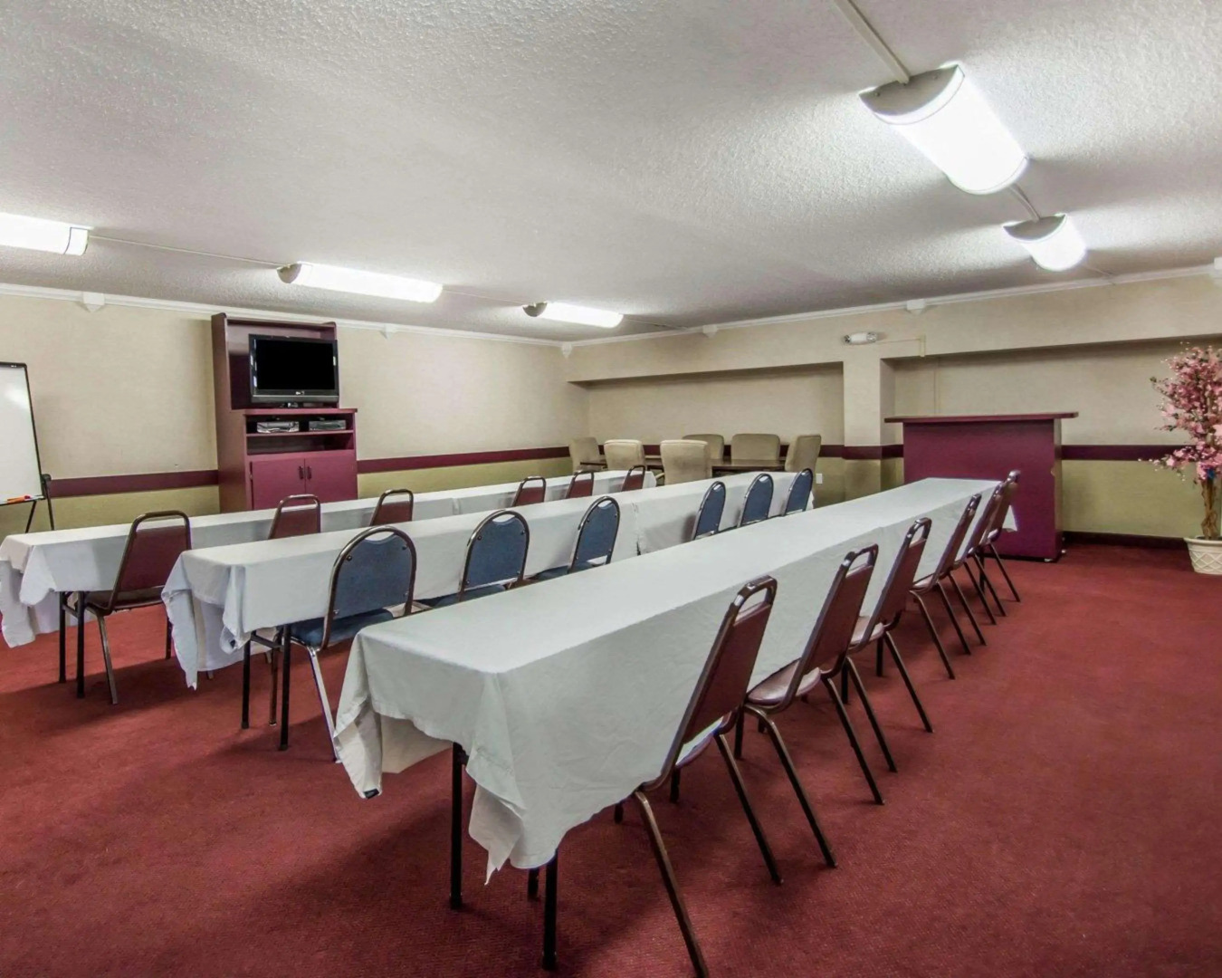 Quality Inn & Suites at Tropicana Field