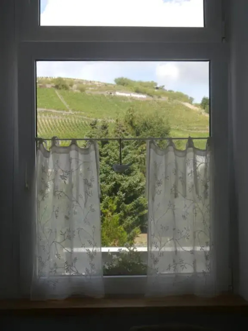 Altes Weingut Weinhaus Rebstock