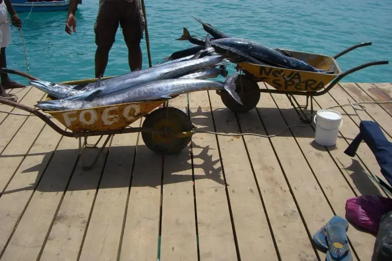 Two Bedroom Apartment with Sea View Fogo Residence