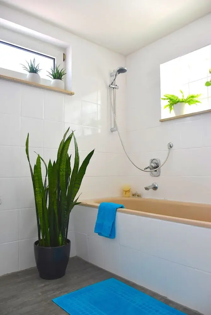 Ferienwohnung Familie Mechler