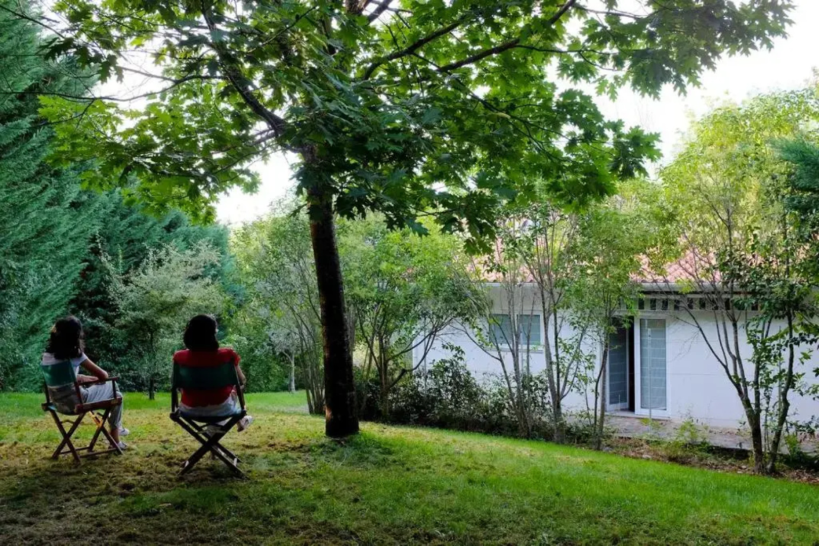 Casa do Galo / Galo House