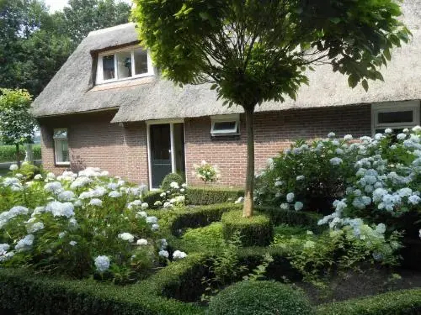 Bed en Breakfast Hoofdstraat 5