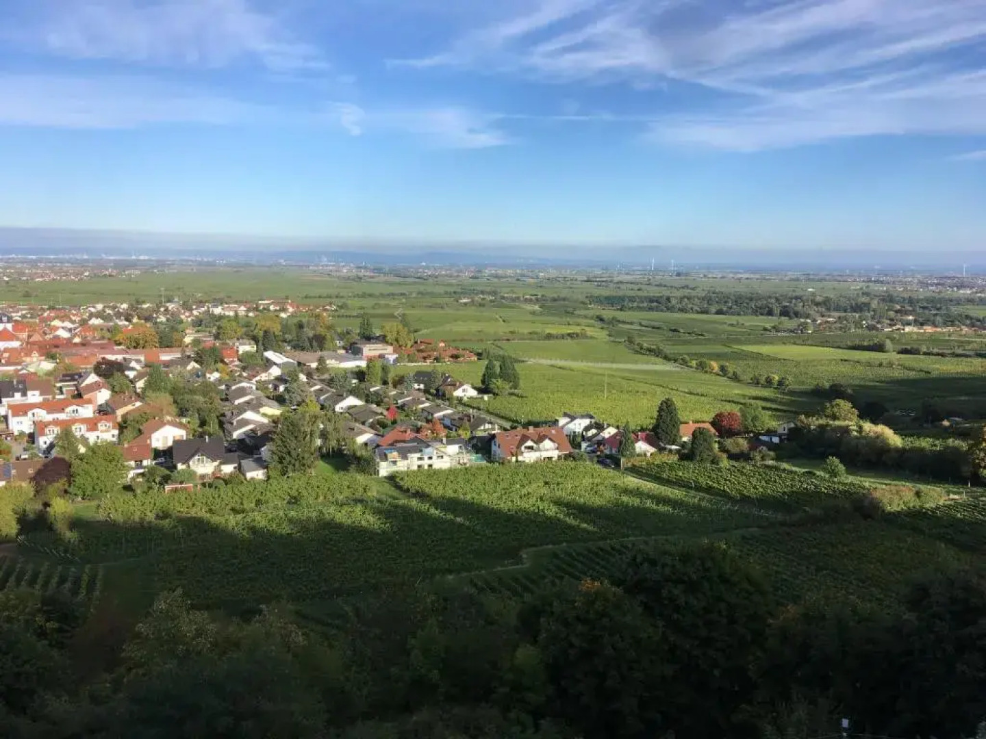 Altstadt-Residenz Manz