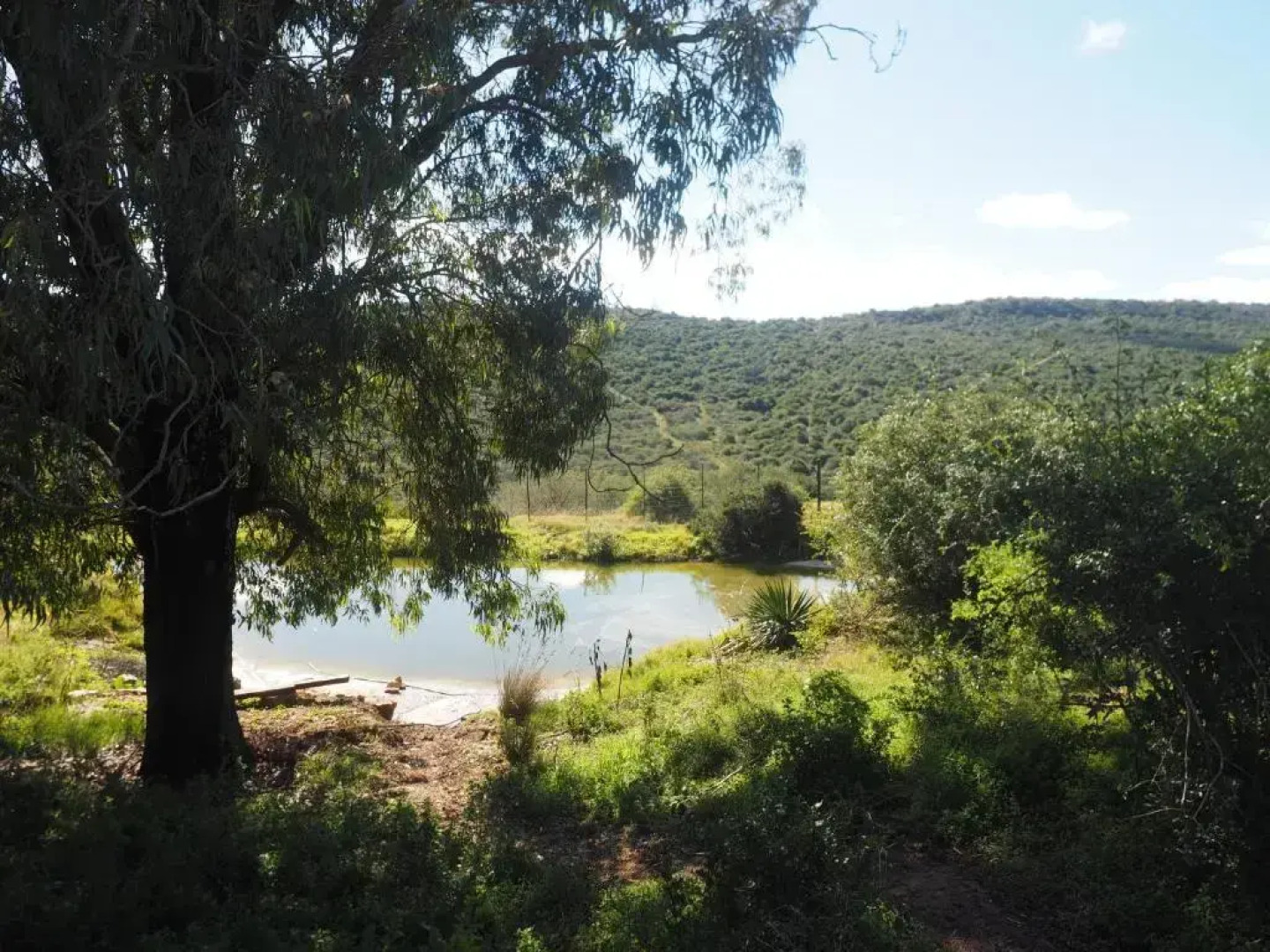 Pure Nature Familodge