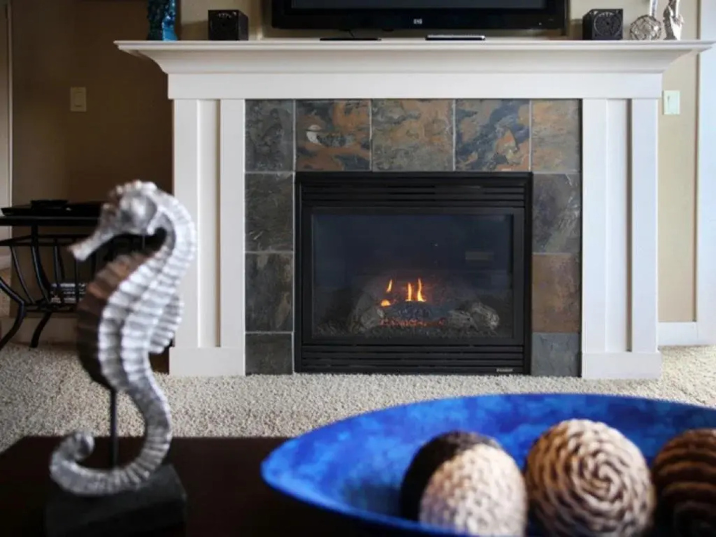 Bridgeport Condo #210