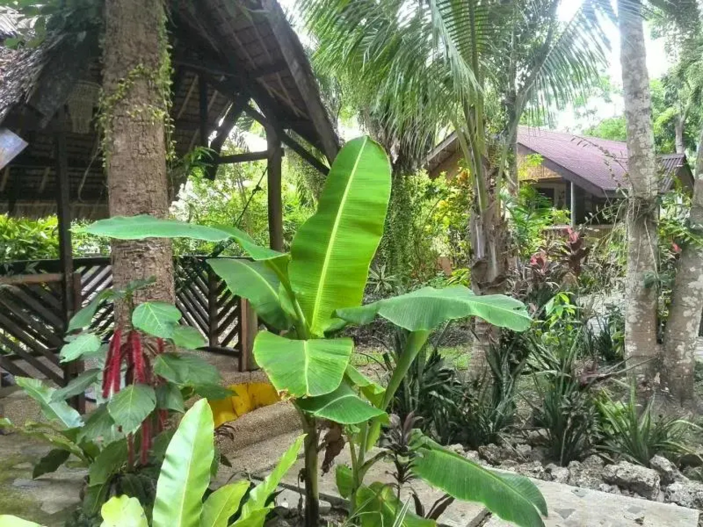 Bananaland Cottages