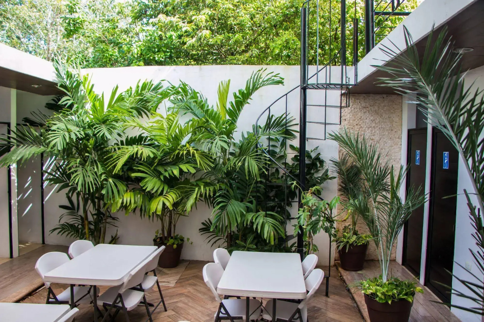 Hostal Gayser - Hostel