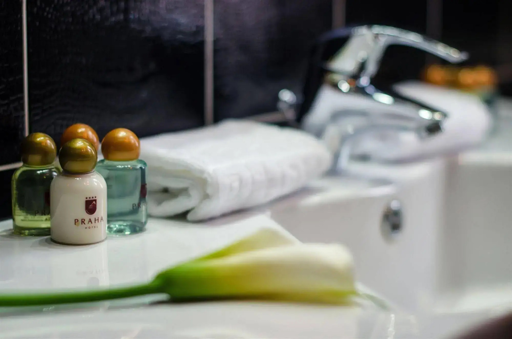 Отель «Прага»