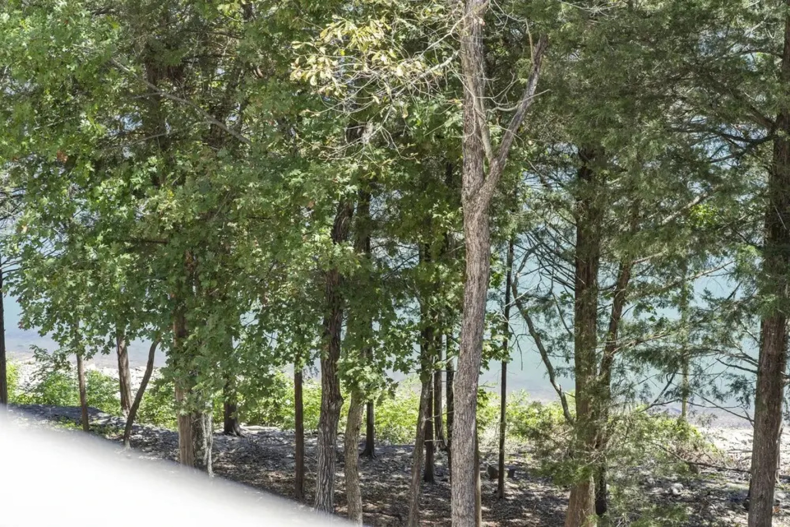 Serene Escape at Table Rock Lake