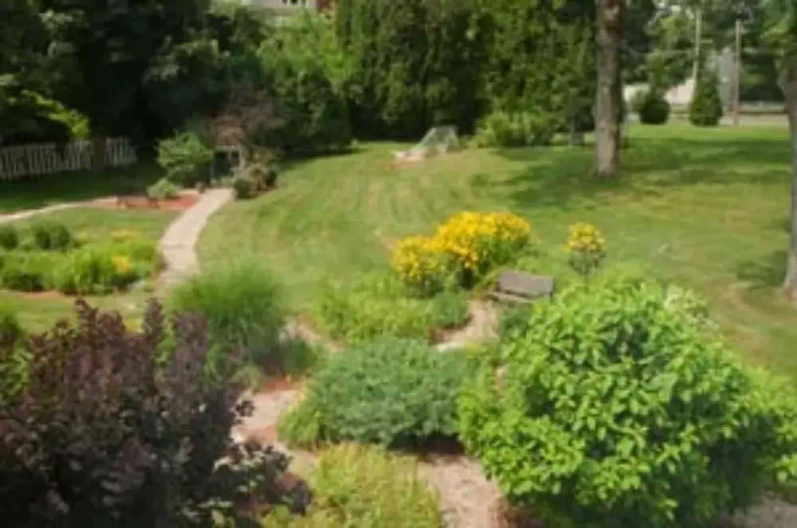 Lily House Bed and Breakfast