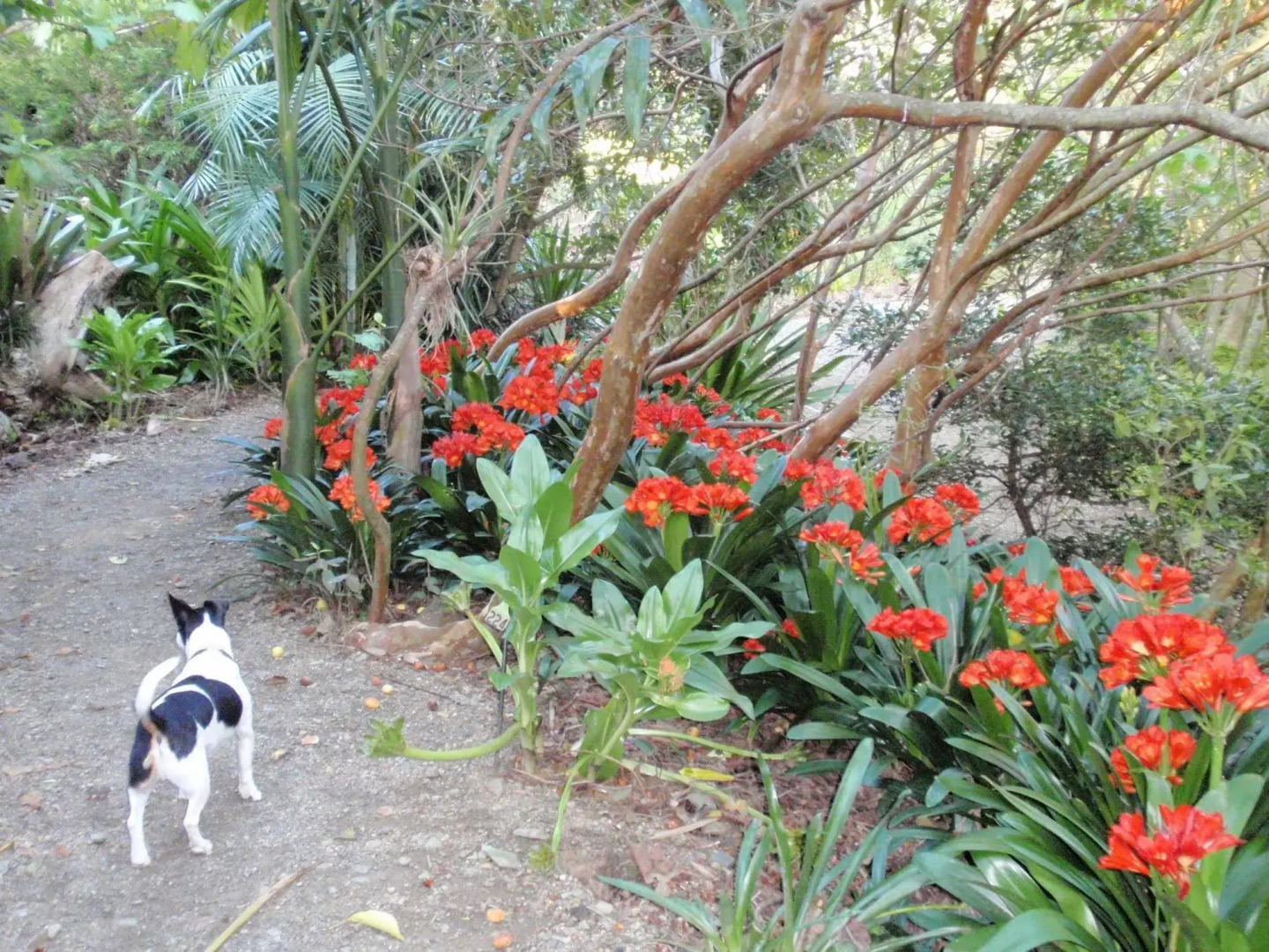 Wharepuke Subtropical Accommodation