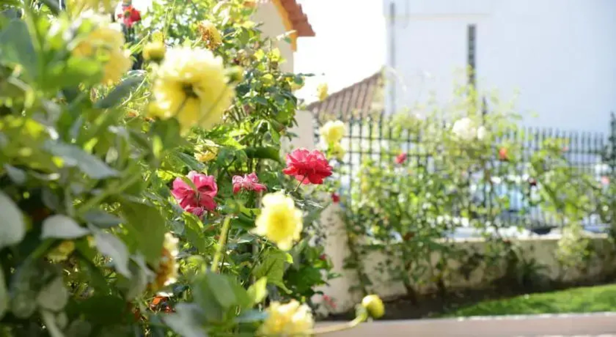 Alojamento Lourinhã