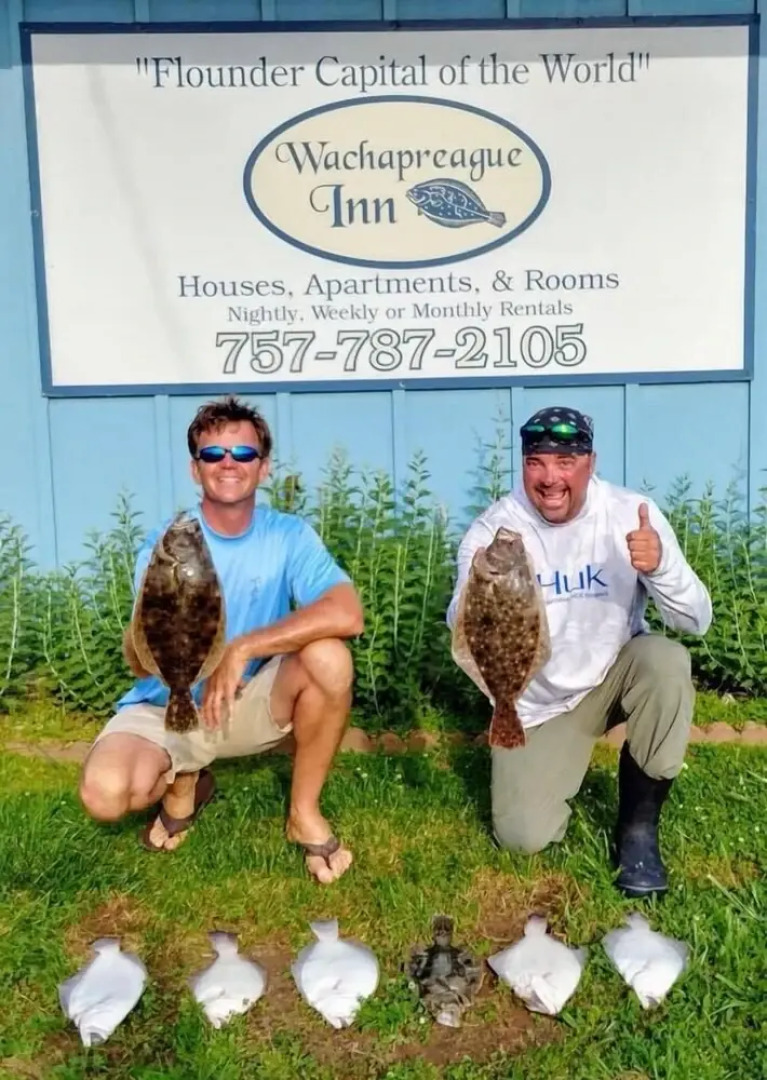 Two separate Apartments