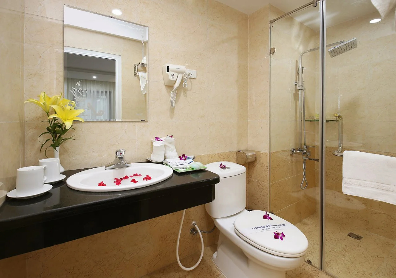 Aquarius Grand Hotel