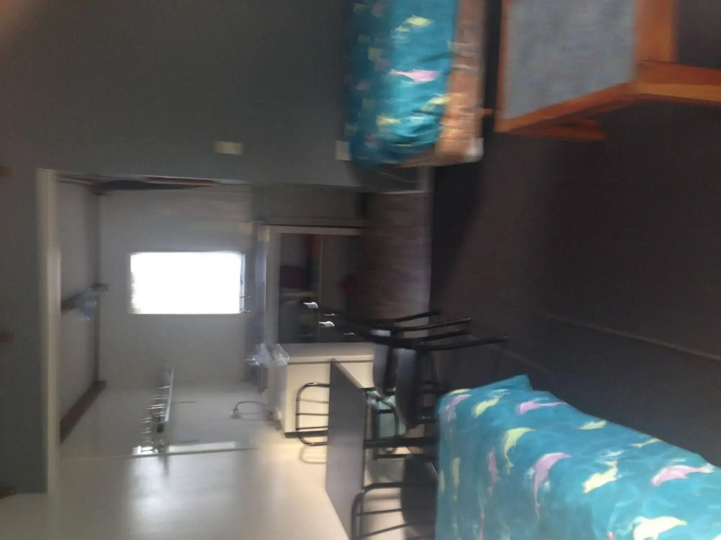 Whitianga Campground