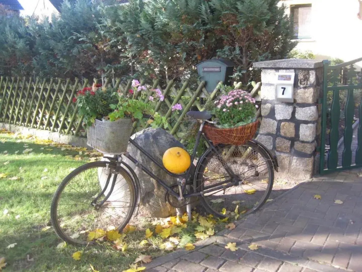 Pension Zum weißen Hirsch