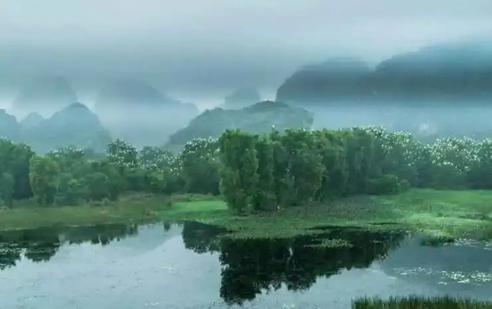 Van Long Family Homestay