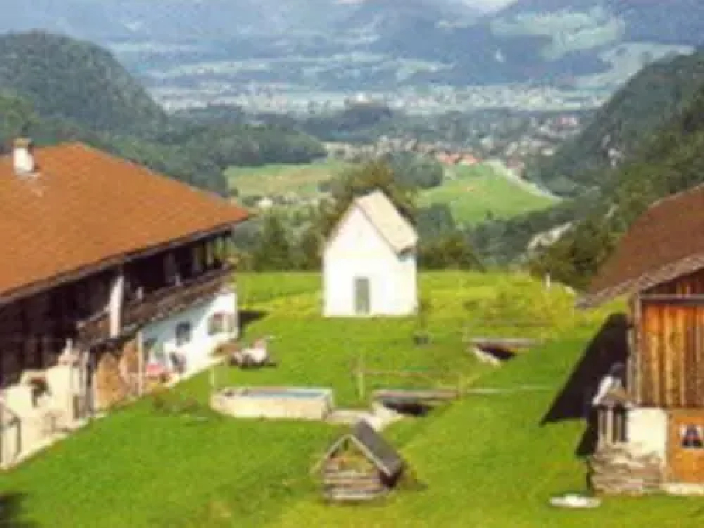 Bergbauernhof Trojer