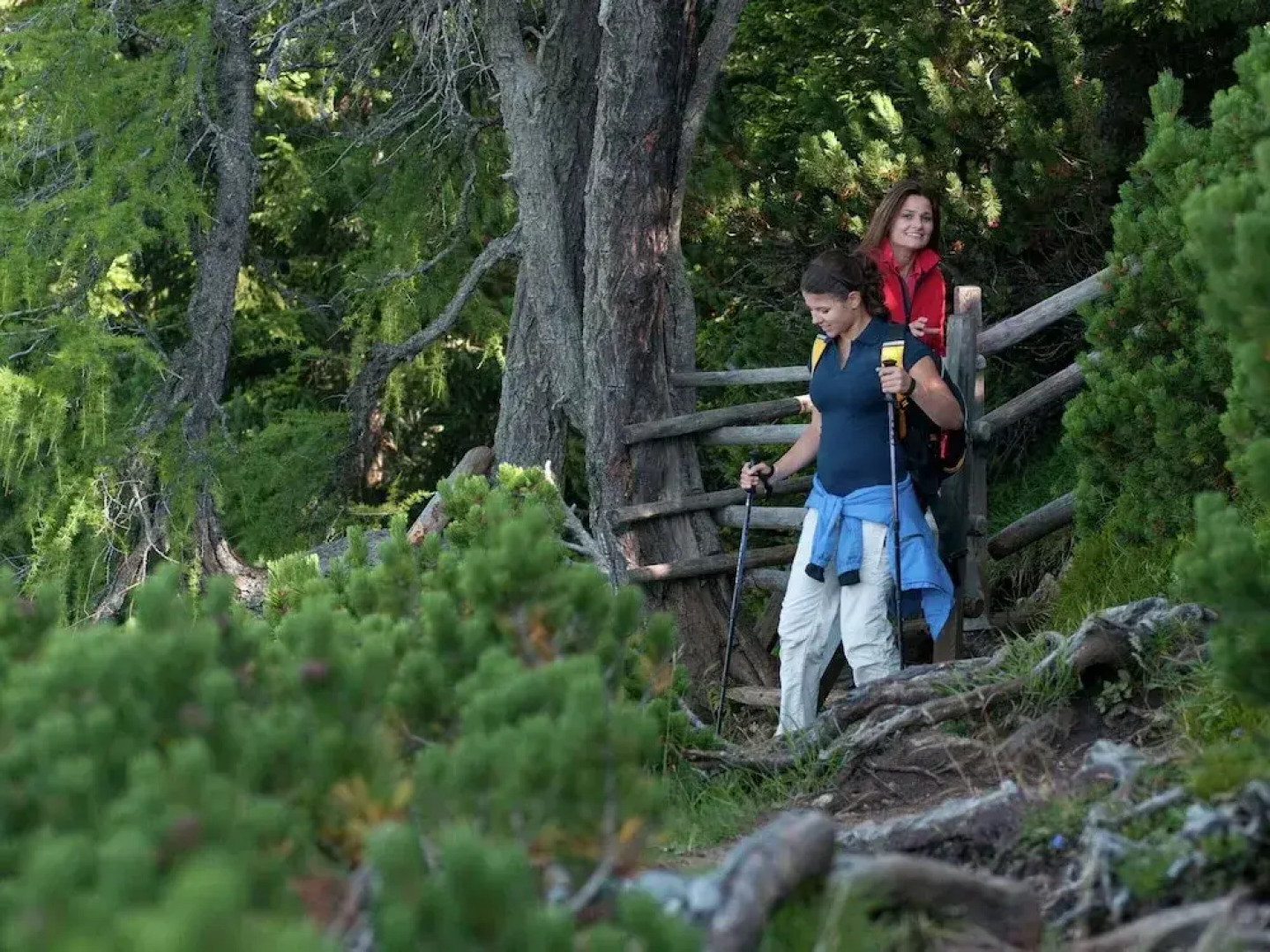Quiet Holiday Home Near ski Resort