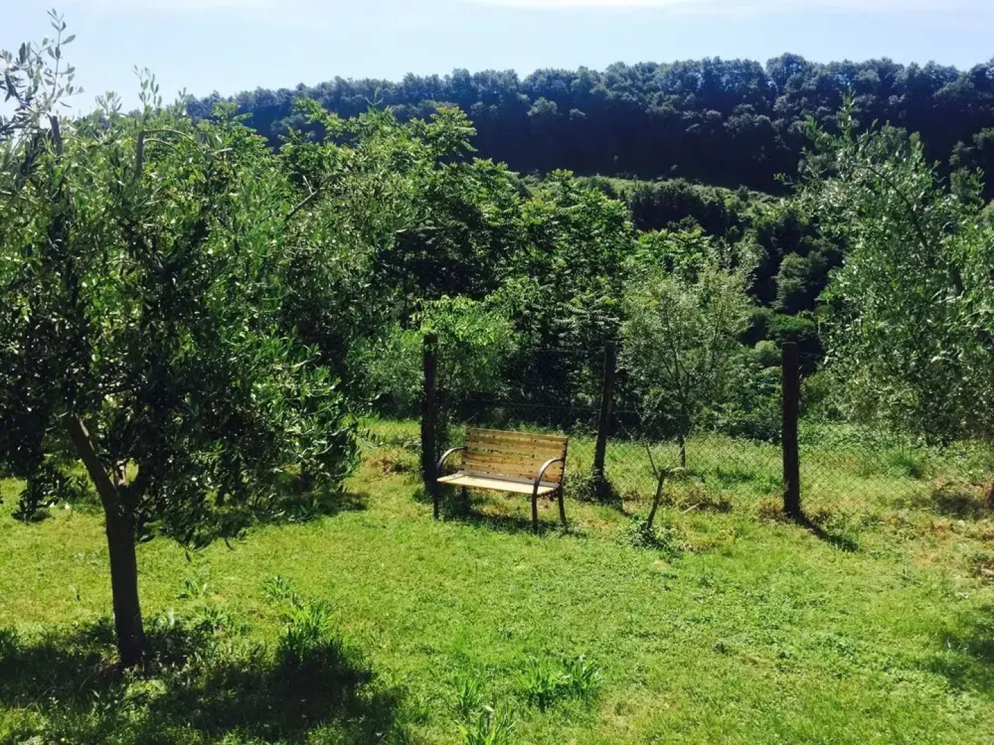 Bio Agriturismo Valle dei Calanchi