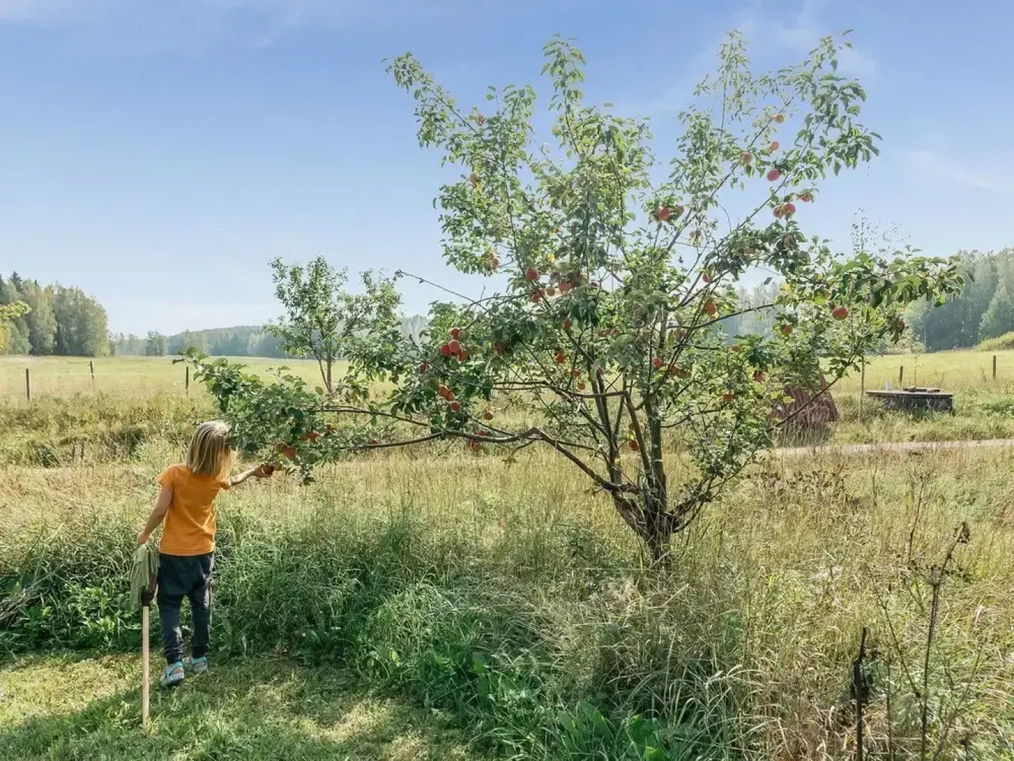 C Porvoo in Porvoo With 1 Bedrooms