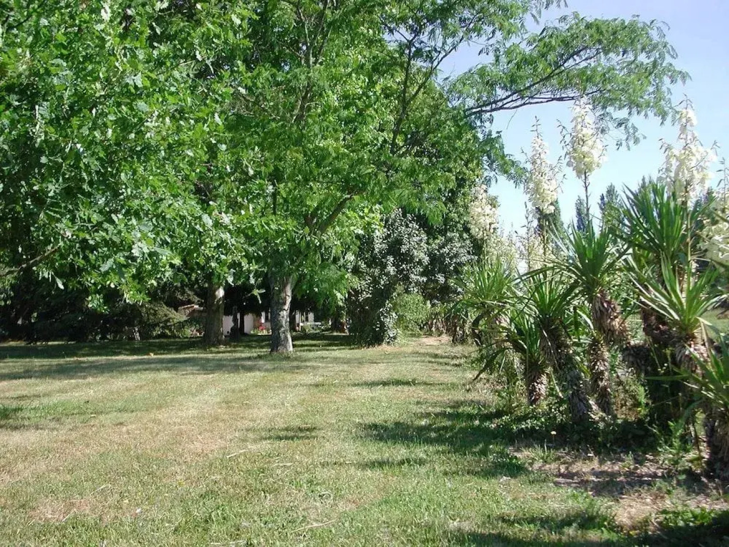 Guest House Yuccas& Tilleuls