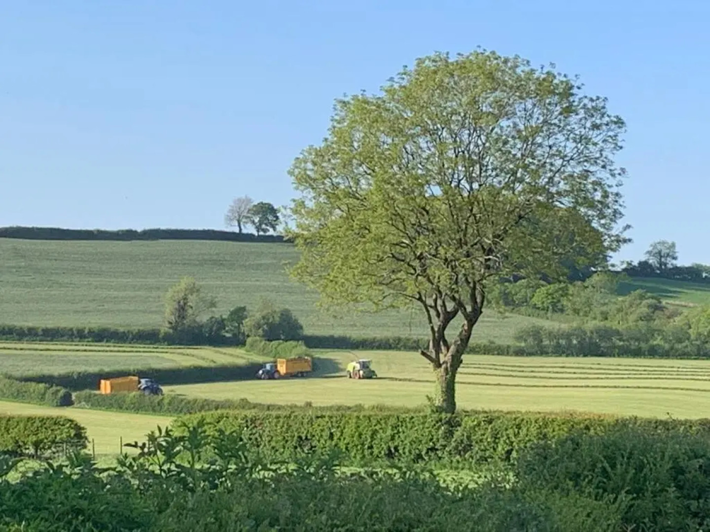 The Reindeer Retreat Daisy Double