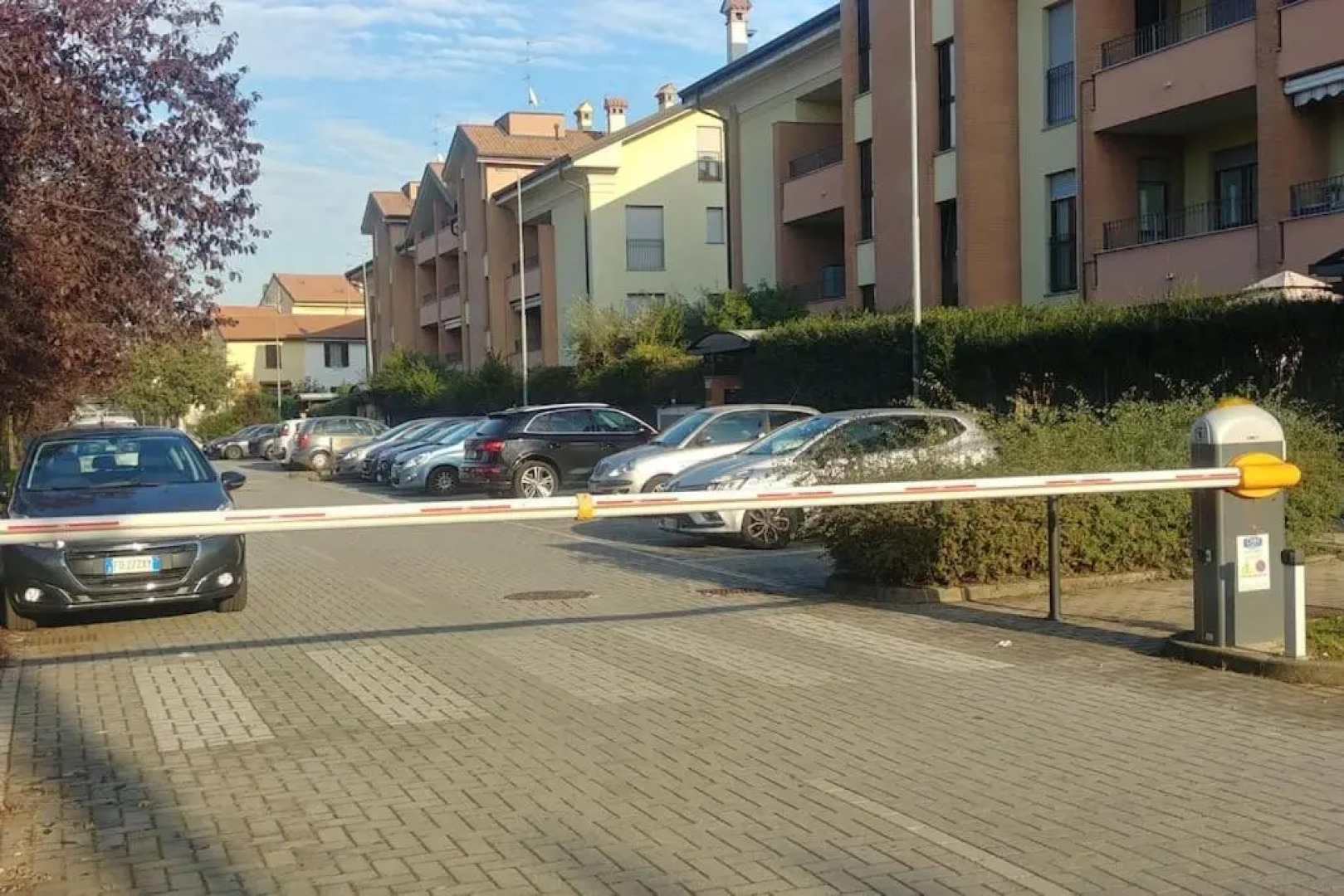 La Fenice - Un nido dove rinascere