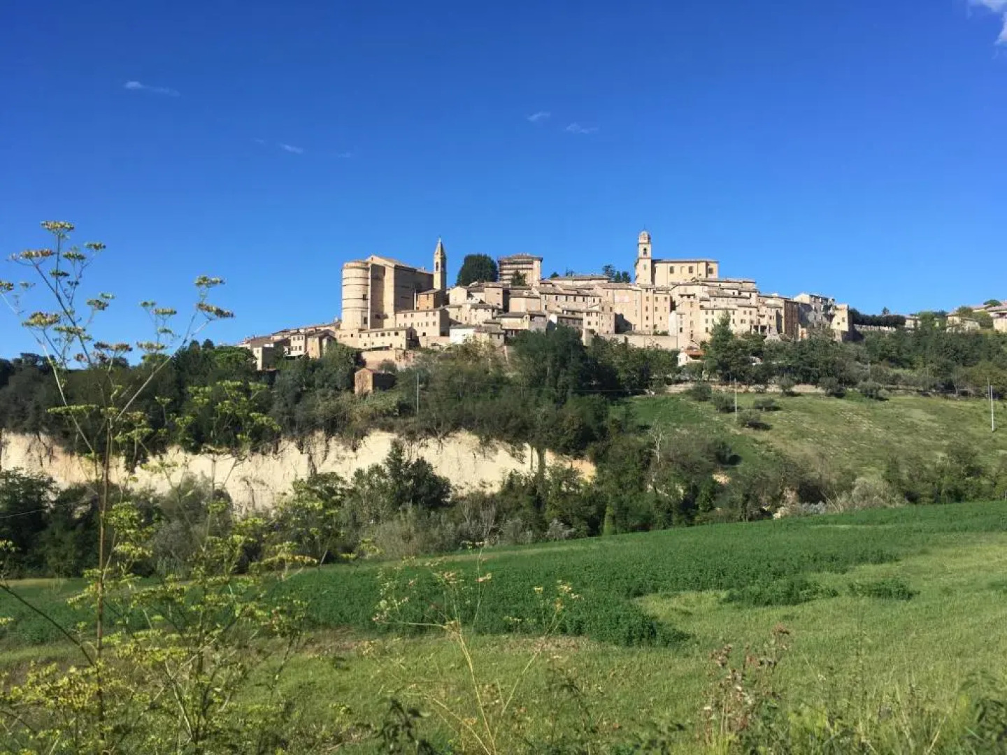 Agriturismo Unico Senso