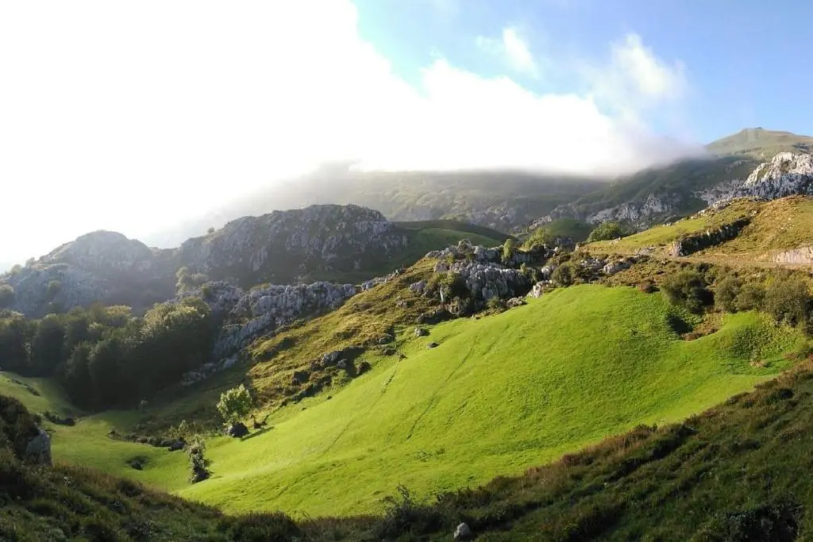 La Tudanca De Casasola