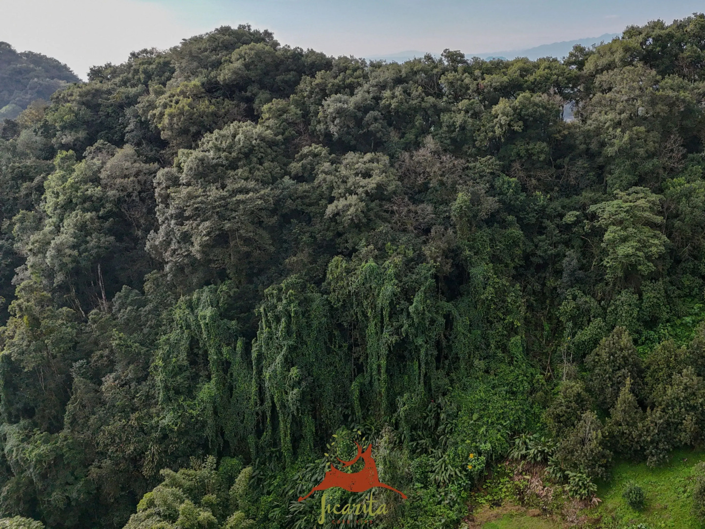 La Jicarita Eco Hotel