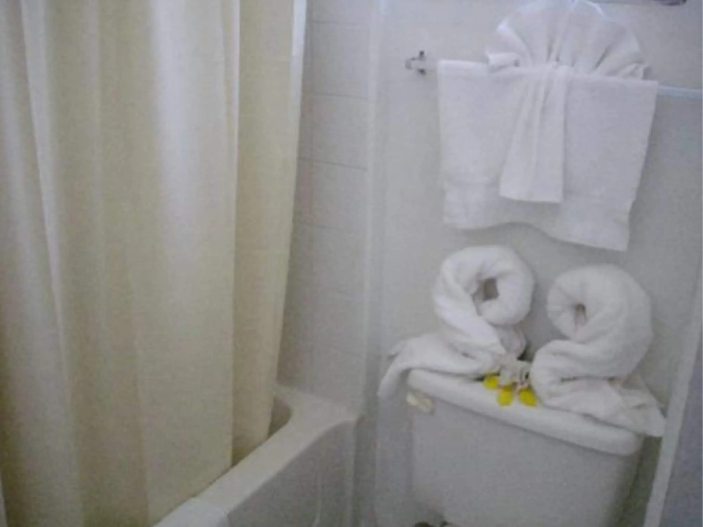 Best Time Inn Hotel - Car Rental