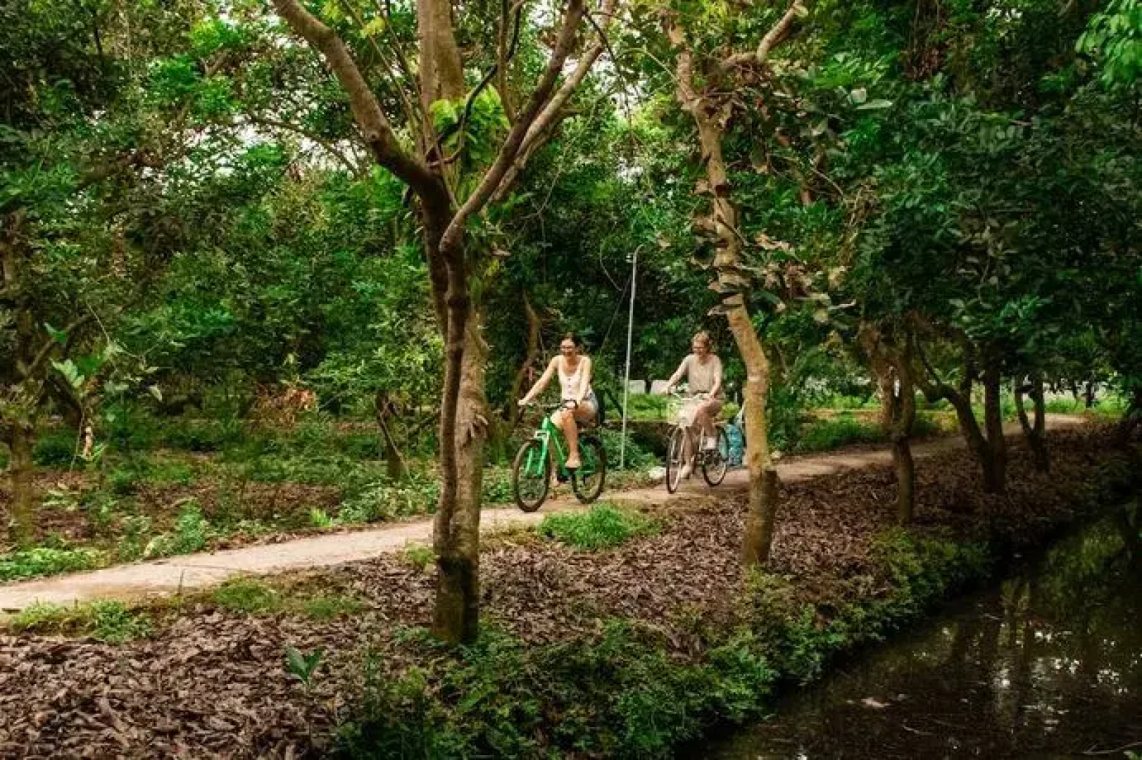 Riverside Park Eco Resort