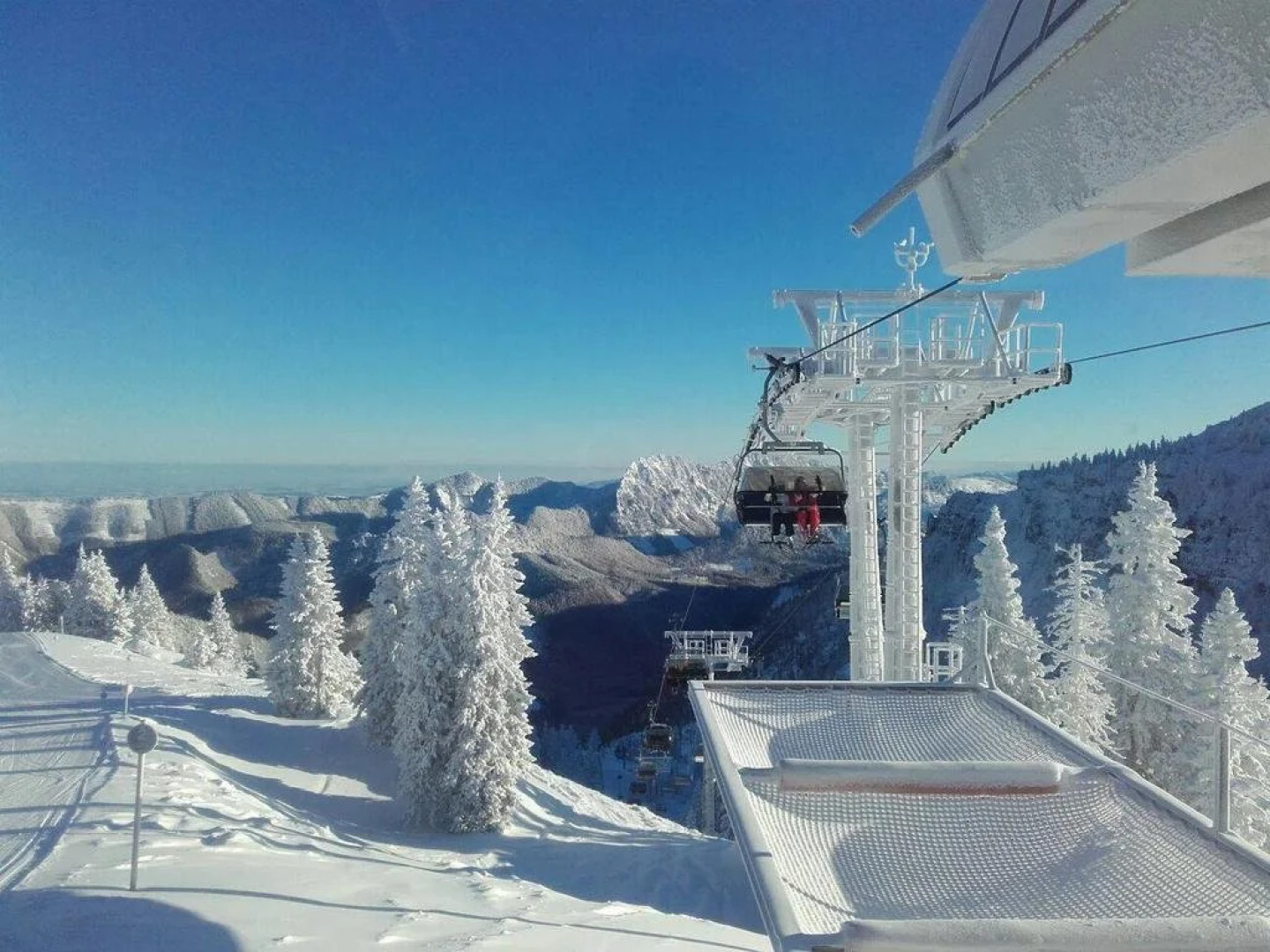 The Treehouse Backpacker Hotel