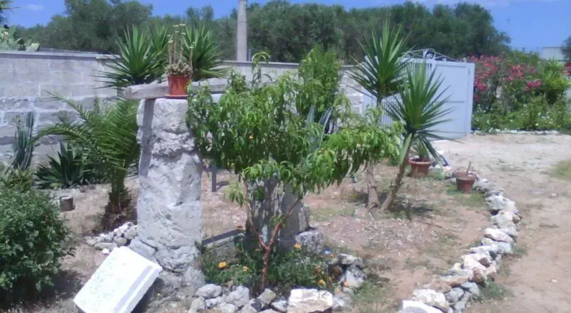 Casavacanze il Mojco