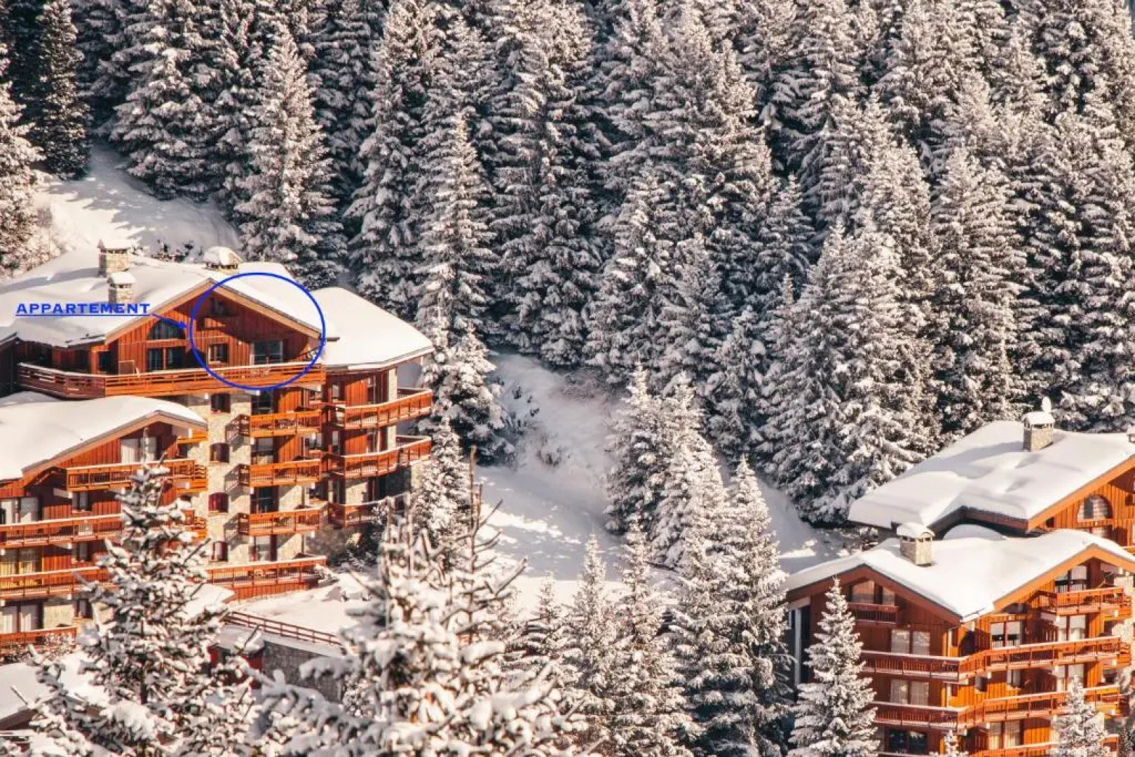 Le CAPRICORNE OLYMPIE 3