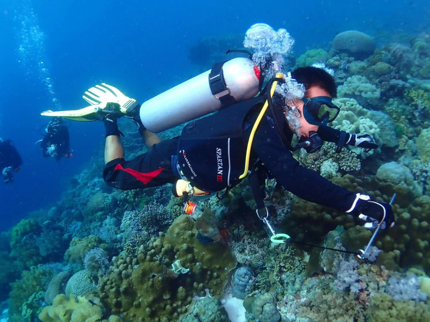 Izu Hokkawa Seaside Guesthouse 伊豆北川の家