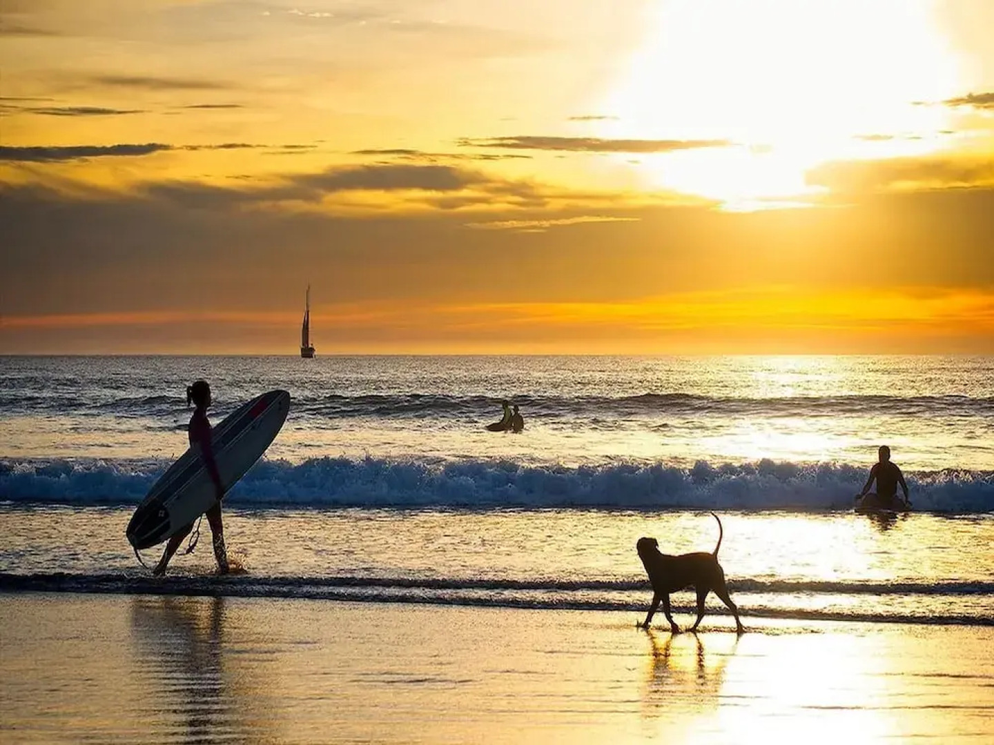 Recently Renovated Luxury Condo with Resort-Style Beach Club Access and Ocean Views