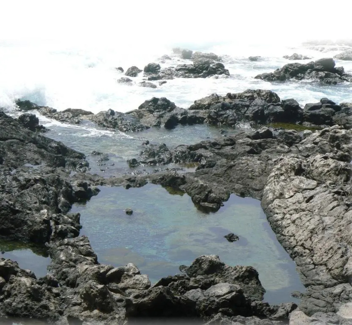 Apartamentos Los Banquitos